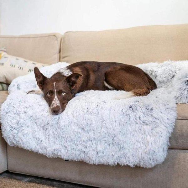 Sofa Snug - Paws at Heart